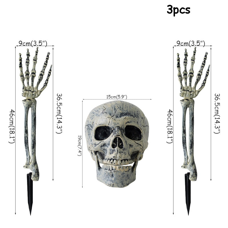 Skull Skeleton Horror