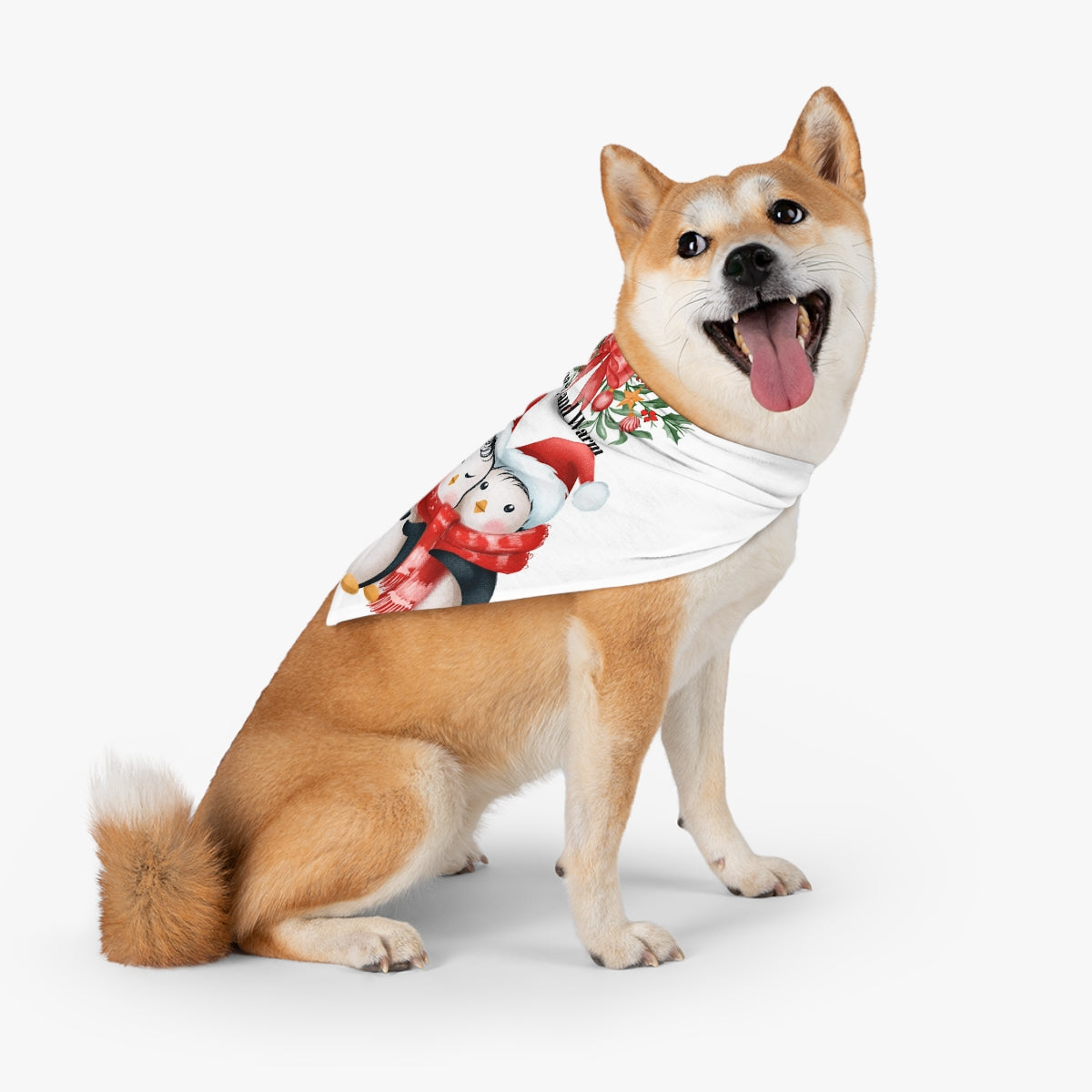 Toasty and Warm Family SetPet Bandana