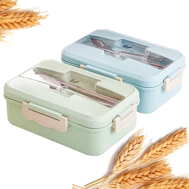 Lunch Box Food Container