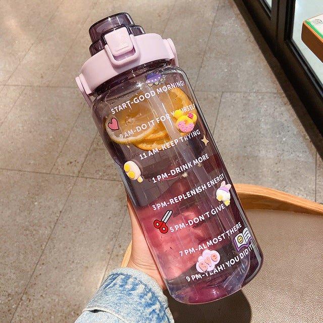 Clear Portable Straw Water Bottle With Stickers