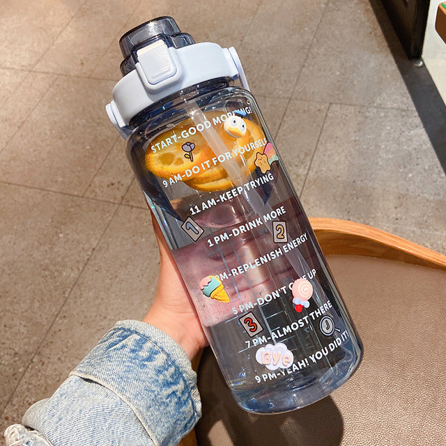 Clear Portable Straw Water Bottle With Stickers