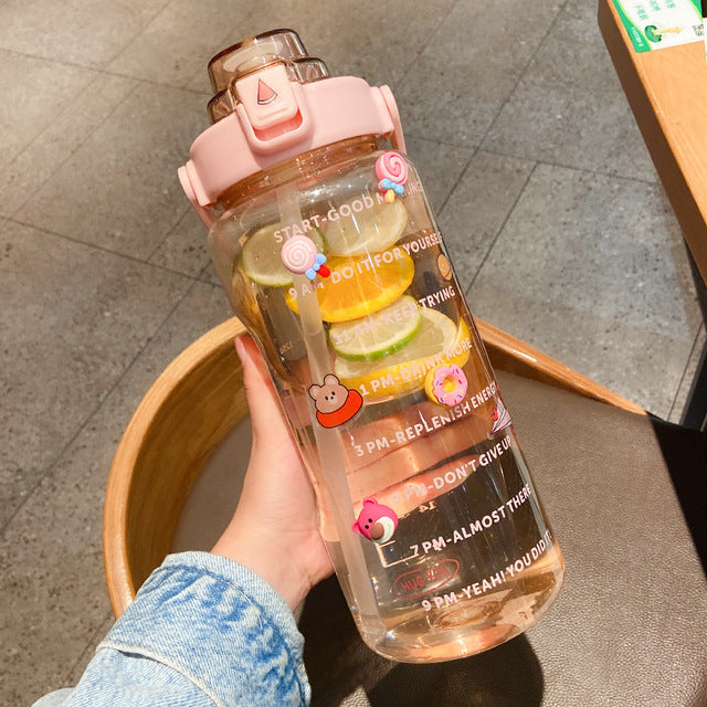 Clear Portable Straw Water Bottle With Stickers