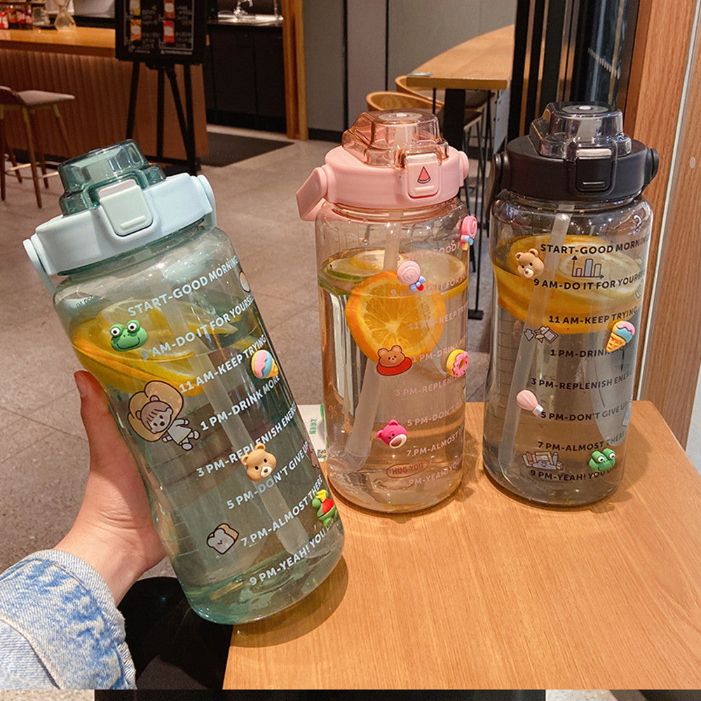 Clear Portable Straw Water Bottle With Stickers