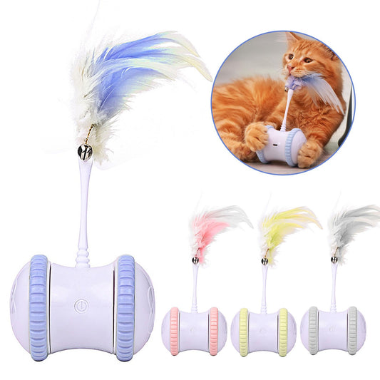 Indoor 360 Cat Ball with LED Light Feather for Pets Kitten